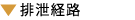 排泄経路