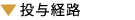 投与経路