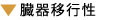 臓器移行性